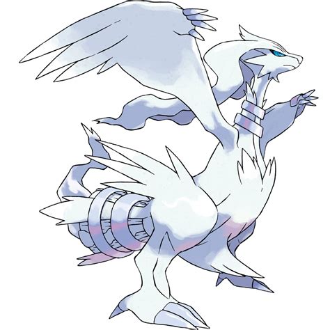 reshiram porn